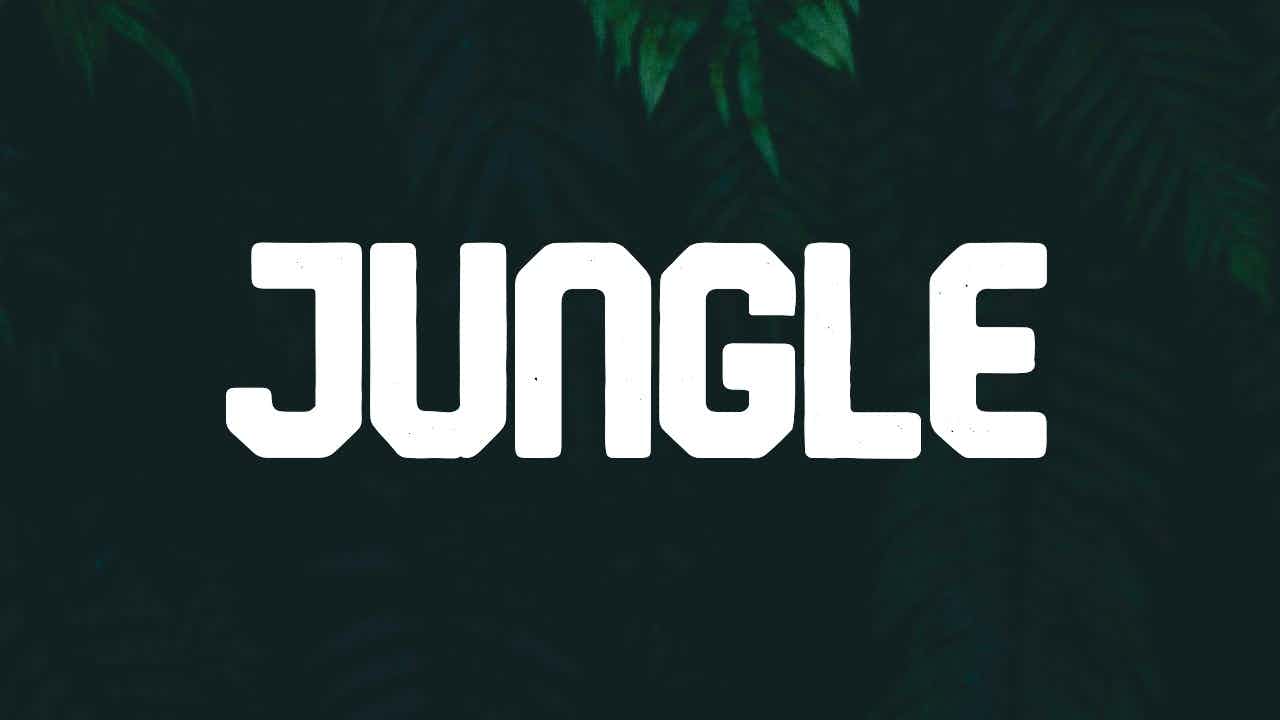 Jungle - E-Commerce Application
